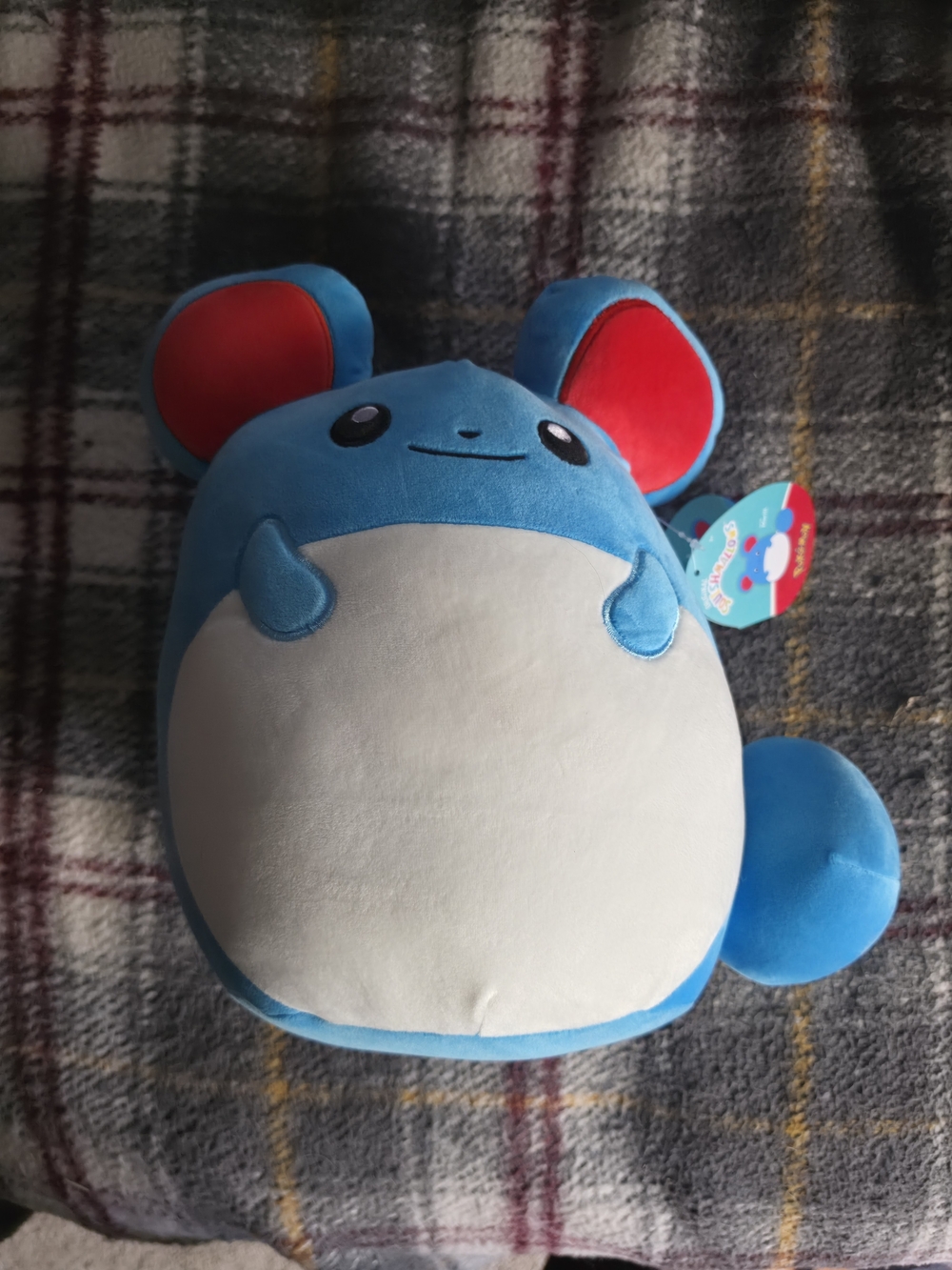 Pokémon Marill 14 Inch Squishmallow - New with Tags